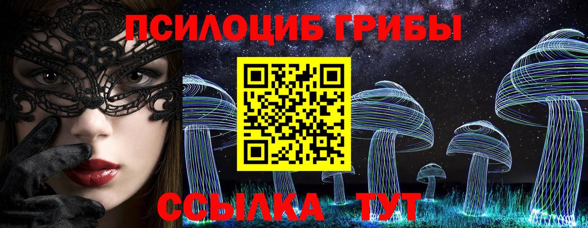закладки  Галлюциногенные грибы GOLDEN TEACHER  Вход с VPN  Аша 